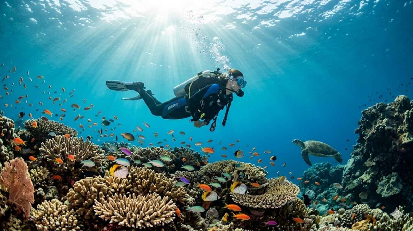 scuba-diving-captions